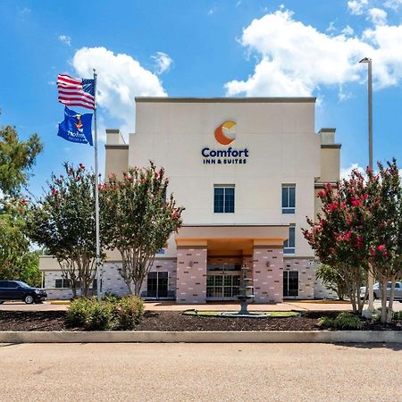 Comfort Inn & Suites Grenada Exterior photo